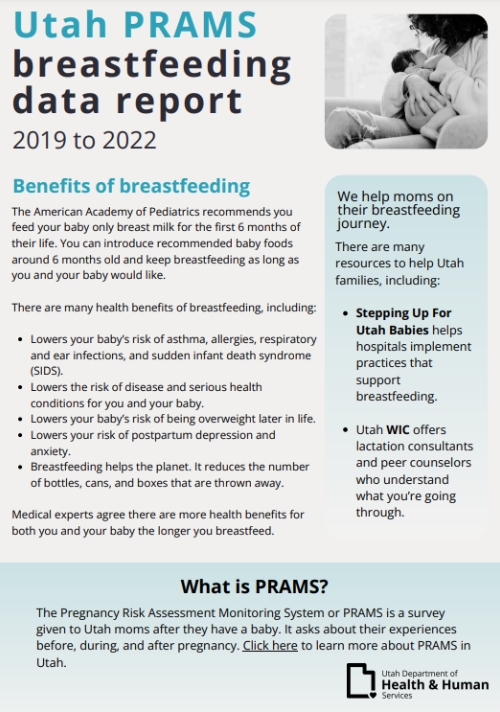 Thumbnail of first page of PRAMS breastfeeding data report.