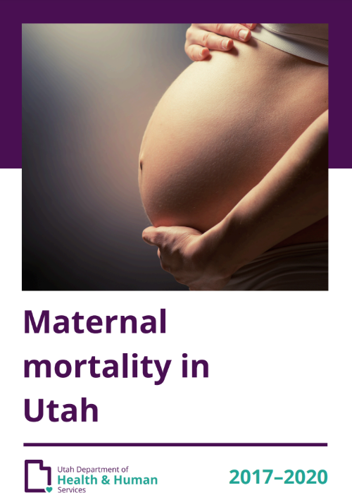 Thumbnail of maternal mortality report cover.